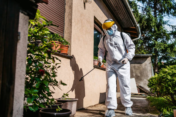Best Local Pest Control Services  in Cole Camp, MO