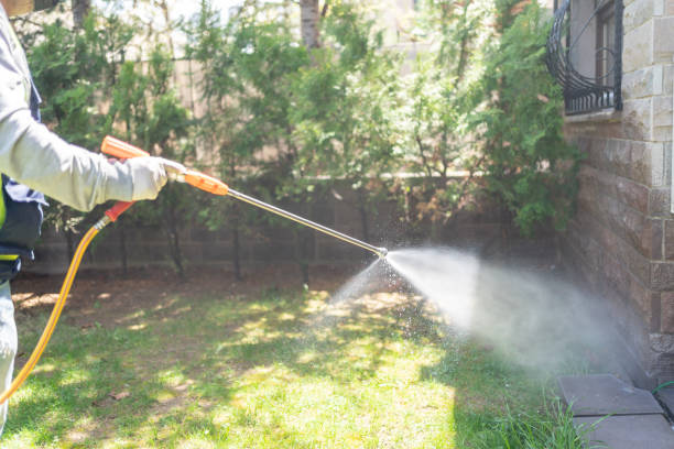 Bird Control in Cole Camp, MO